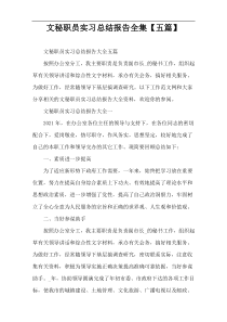 文秘职员实习总结报告全集【五篇】