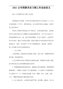 2022公司预算员实习期工作总结范文