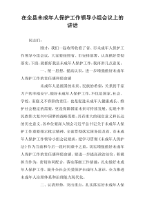 在全县未成年人保护工作领导小组会议上的讲话