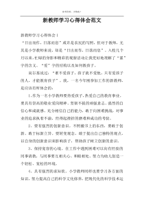 新教师学习心得体会范文