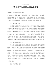 班主任工作学习心得体会范文