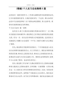 (精编)个人实习总结集锦5篇