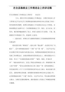 在全县稳就业工作推进会上的讲话稿