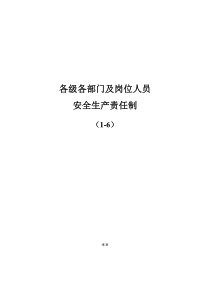 各部门及岗位安全责任制1-6