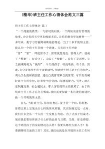 (精华)班主任工作心得体会范文三篇