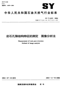 SYT 6103-2004 岩石孔隙结构特征的测定 图像分析法