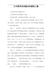 公司领导讲话稿后的感悟三篇