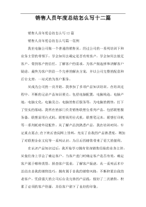 销售人员年度总结怎么写十二篇