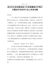 县长在全县创建省级卫生县城暨城乡环境卫生整洁行动动员大会上的讲话稿