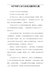 妇产科护士实习总结五篇四范文篇