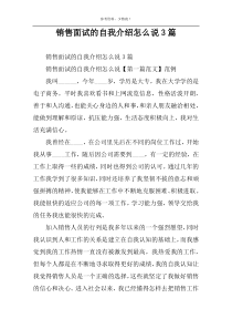 销售面试的自我介绍怎么说3篇