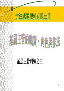 基层干部职责角色认知及作法(1)