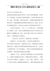 (精华)班主任工作心得体会范文4篇