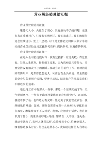 营业员经验总结汇报