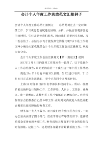 会计个人年度工作总结范文汇报例子