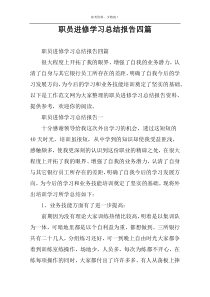 职员进修学习总结报告四篇