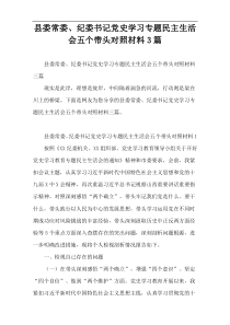 县委常委、纪委书记党史学习专题民主生活会五个带头对照材料3篇