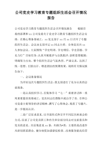 公司党史学习教育专题组织生活会召开情况报告