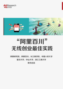 无线创业最佳实践报告