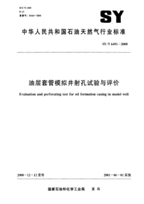 SYT 6491-2000 油层套管模拟井射孔试验与评价