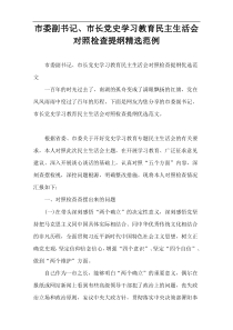 市委副书记、市长党史学习教育民主生活会对照检查提纲精选范例