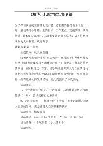 (精华)计划方案汇集9篇