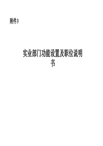 实业部门功能设置及职位说明书