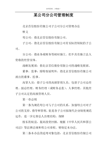 某公司分公司管理制度