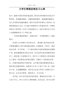 大学生寒假促销实习心得