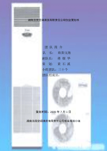 湖南洁亮空调清洗有限责任公司创业策划书