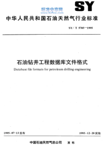 SYT 5705-1995 石油钻井工程数据库文件格式