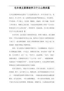 毛丰美主要事迹学习个人心得多篇