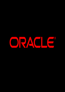 Oracle 商业智能系统