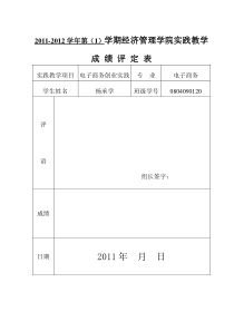 电子商务创业实践指导书