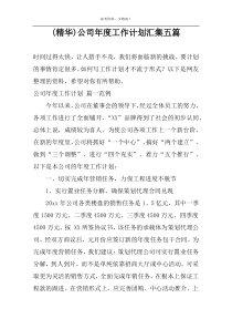 (精华)公司年度工作计划汇集五篇