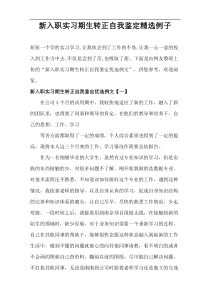 新入职实习期生转正自我鉴定精选例子