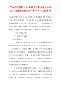 区应急管理局2022年度上半年安全生产和自然灾害防治重点工作和下半年工作思路