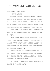 下一年工作计划及个人成长目标十五篇