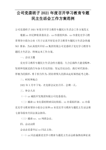 公司党委班子2021年度召开学习教育专题民主生活会工作方案范例