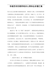 争做四有好教师培训心得体会多篇汇集