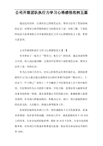 公司开展团队执行力学习心得感悟范例五篇