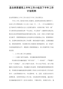 县自然资源局2022年度上半年工作小结及下半年工作计划范例