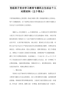 党组班子党史学习教育专题民主生活会个人对照材料（五个带头）