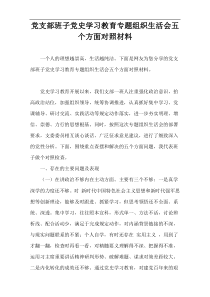 党支部班子党史学习教育专题组织生活会五个方面对照材料