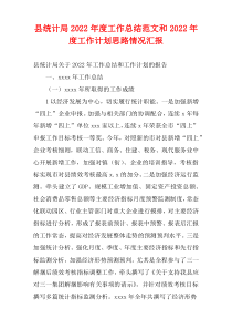 县统计局2022年度工作总结范文和2022年度工作计划思路情况汇报