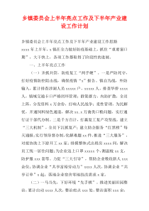 乡镇委员会上半年亮点工作及下半年产业建设工作计划