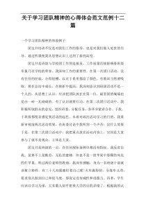 关于学习团队精神的心得体会范文范例十二篇