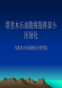 塔里木石油勘探指挥部小区绿化