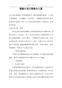 精编计划方案集合九篇