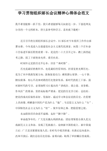 学习贯彻组织部长会议精神心得体会范文